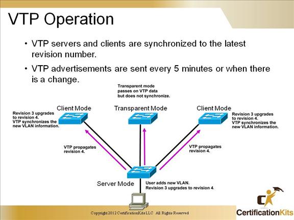 ccnp-switch-vlan-04